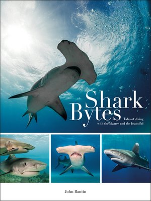 cover image of Shark Bytes